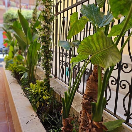 Suebi Rooms Termoli Εξωτερικό φωτογραφία