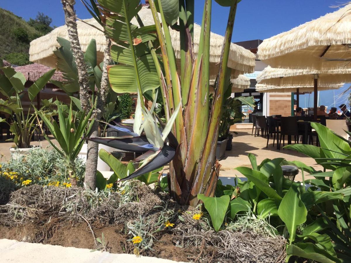 Suebi Rooms Termoli Εξωτερικό φωτογραφία