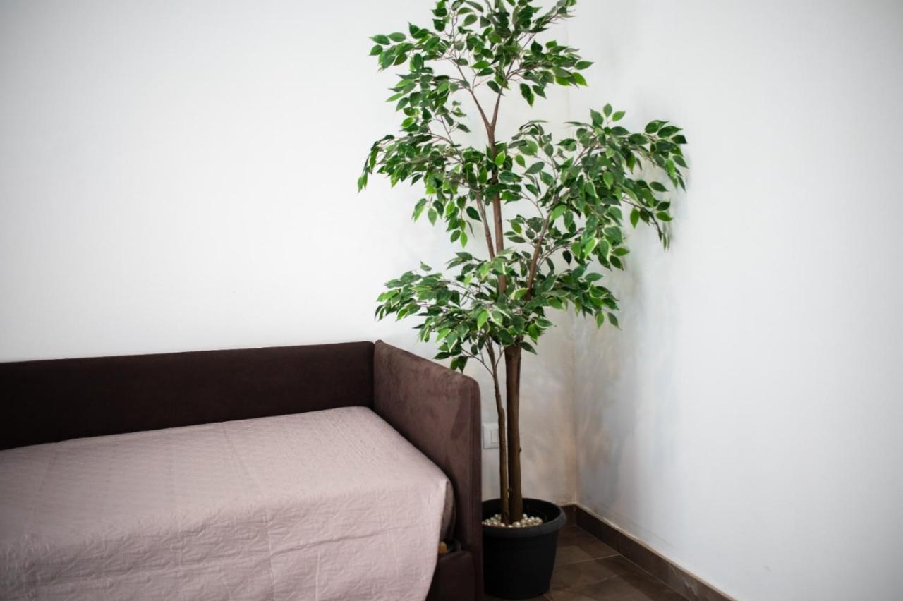 Suebi Rooms Termoli Εξωτερικό φωτογραφία