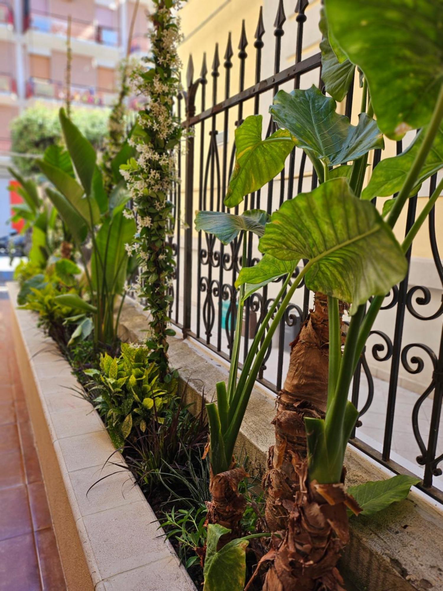 Suebi Rooms Termoli Εξωτερικό φωτογραφία